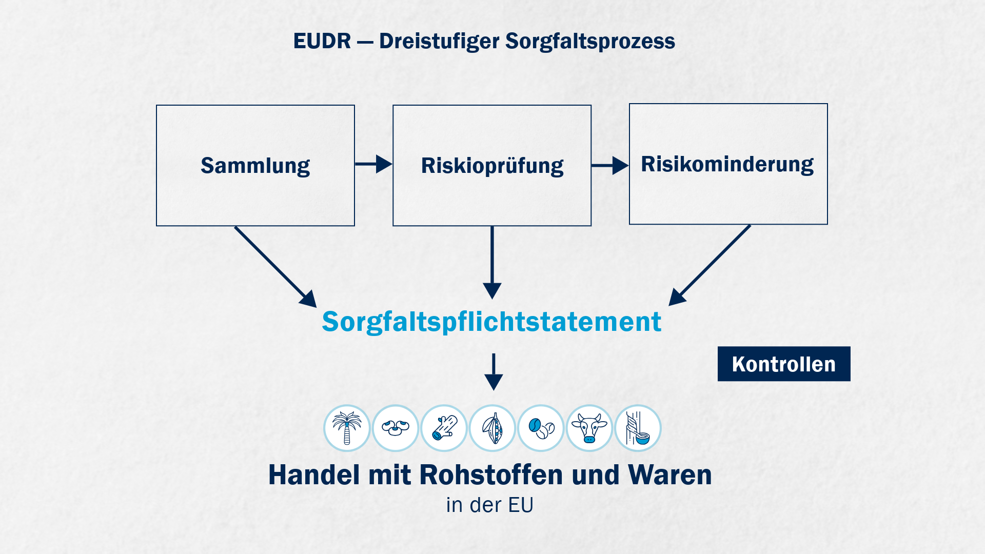 EUDR- Dreistufiger Sorgfaltsprozess