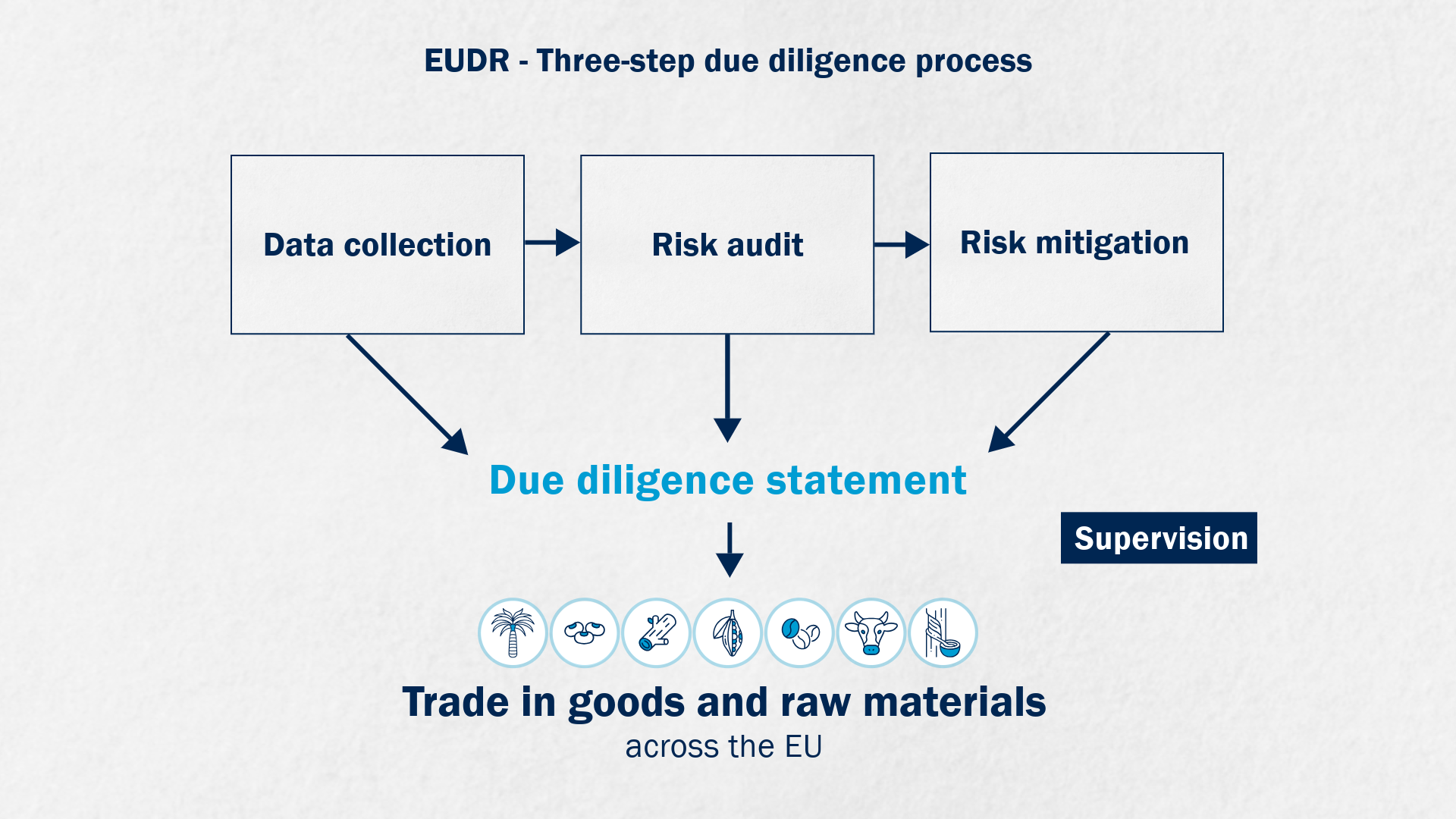 EUDR responsibilities